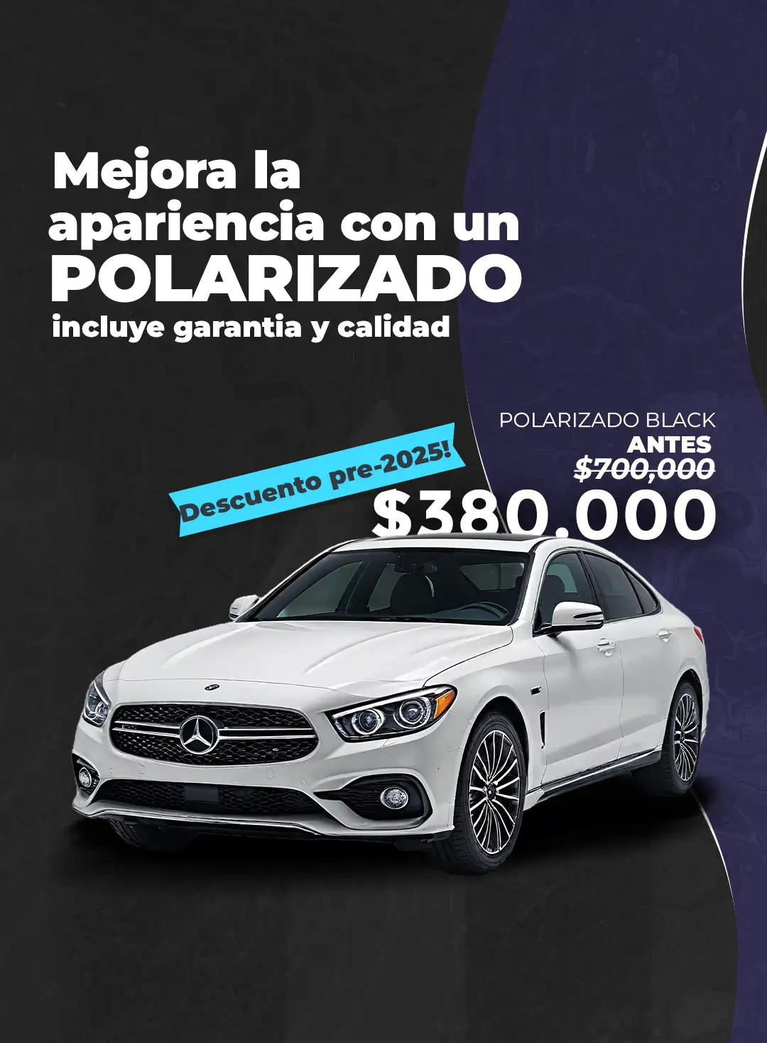 polarizado-vehicular-2024-mobil-1